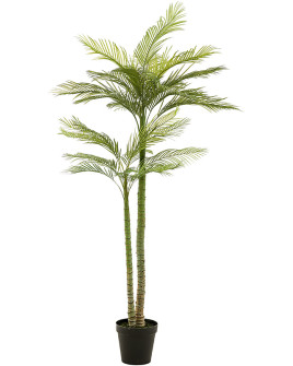 Искусственное растение Palm Phoenix / Пальма Финиковая H225cm