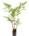 Искусственное растение Palm Fishtail / Пальма Рыбий хвост H140cm NKoop EEG