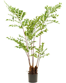 Искусственное растение Palm Fishtail / Пальма Рыбий хвост H140cm