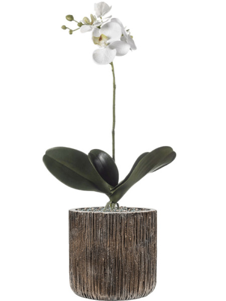 Artificial Plant Orchid Phalaenopsis white H55cm NKoop EEG