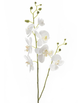 Artificial Plant Orchid Phalaenopsis H95cm