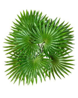Artificial Plant Palm Bush H35cm