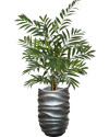 Искусственное растение Palm Parlour / Пальма H110cm NKoop FW