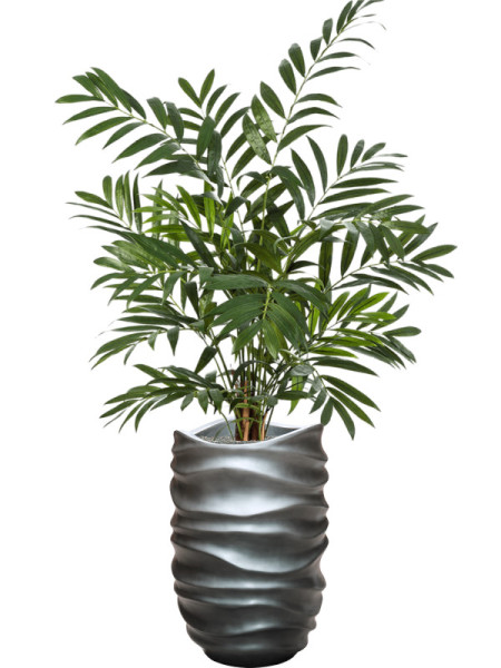 Искусственное растение Palm Parlour / Пальма H110cm NKoop FW