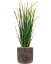 Штучна рослина Grass Foxtail / Трава Лисохвіст H60cm NKoop FW