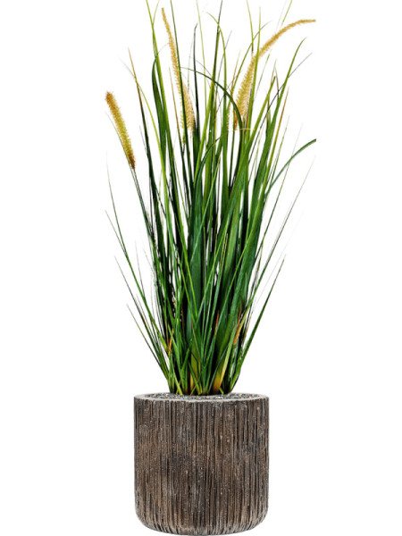Штучна рослина Grass Foxtail / Трава Лисохвіст H60cm NKoop FW