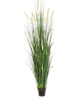 Искусственное растение Grass Foxtail Wild / Трава Лисохвост H175cm
