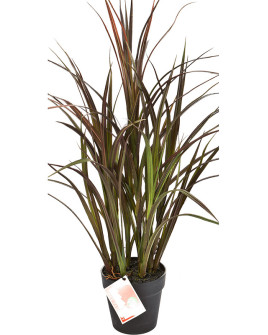 Искусственное растение Grass Natural red / Трава красная H75cm