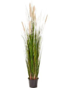 Искусственное растение Grass Reed / Трава камышовая H120cm