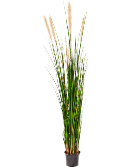Искусственное растение Grass Reed / Трава камышовая H180cm
