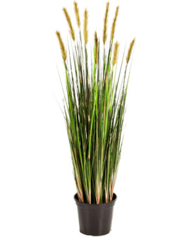 Штучна рослина Grass Foxtail / Трава Лисохвіст H180cm