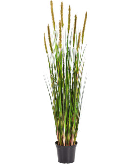 Штучна рослина Grass Foxtail / Трава Лисохвіст H120cm