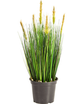 Штучна рослина Grass Foxtail / Трава Лисохвіст H60cm