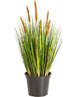 Искусственное растение Grass Foxtail brown / Трава Лисохвост H60cm