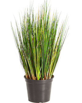 Штучна рослина Grass Foxtail / Трава Лисохвіст H60cm