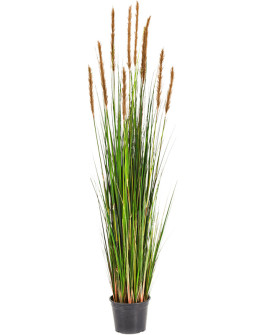 Искусственное растение Grass Foxtail brown / Трава Лисохвост H150cm