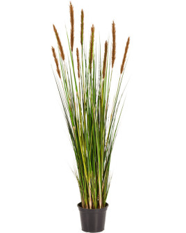 Искусственное растение Grass Foxtail brown / Трава Лисохвост H90cm