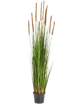 Искусственное растение Grass Foxtail brown / Трава Лисохвост H180cm