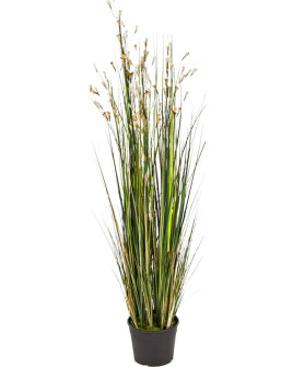 Штучна рослина Grass Coral Cream / Трава Коралова H120cm