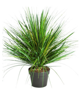 Искусственное растение Grass Onion / Трава Луковая H50cm