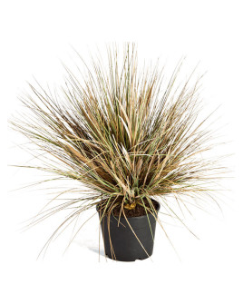Искусственное растение Grass Onion Autumn / Трава Луковая осенняя H65cm