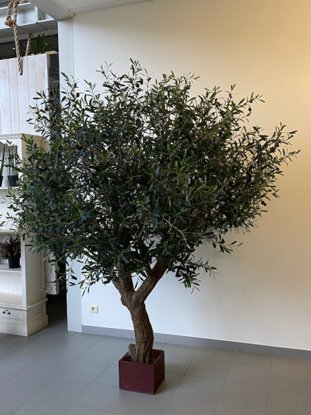 Искусственное Оливковое дерево / Olive Tree Natural H210cm NKoop FW