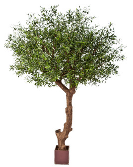 Искусственное Оливковое дерево / Olive Tree Natural H270cm