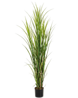 Искусственное растение Grass Reed / Трава тростниковая H165cm