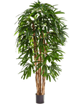 Искусственное растение Palm Rhapis / Пальма Рапис H120cm
