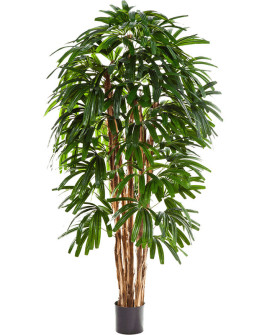 Искусственное растение Palm Rhapis / Пальма Рапис H180cm