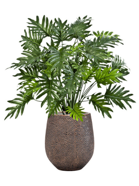 Искусственное растение Philodendron Selloum / Филодендрон Селлоум H75cm NKoop FW