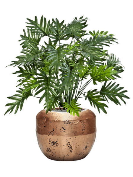 Искусственное растение Philodendron Selloum / Филодендрон Селлоум H75cm NKoop FW