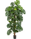 Искусственное растение Monstera Deliciosa Column / Монстера Делициоза H190cm NKoop FW