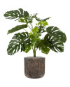 Искусственное растение Monstera Deliciosa / Монстера Делициоза H85cm NKoop FW