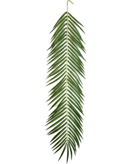 Artificial Plant Palm Phoenix H107cm