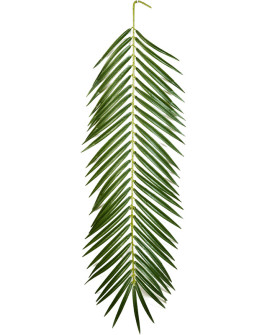 Artificial Plant Palm Phoenix H88cm
