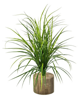 Искусственное растение Grass / Трава H75cm