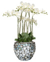 Artificial Plant Orchid Phalaenopsis white H75cm NKoop EEG