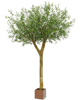 Искусственное Оливковое дерево / Olive Tree Natural (FR) H300cm