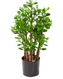 Искусственное растение Crassula Ovata / Крассула H60cm