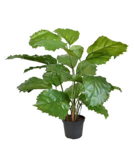 Искусственное растение Tetrastigma / Тетрастигма H50cm