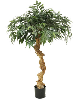 Искусственное растение Shirakashi Tree / Ширакаши H100cm