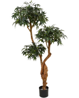 Искусственное растение Shirakashi Tree / Ширакаши H160cm