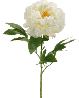 Artificial flower Peony White H65cm