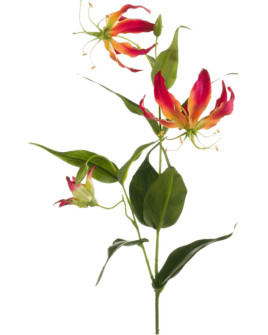 Искусственный цветок Gloriosa Fuchsia / Глориоза H80cm