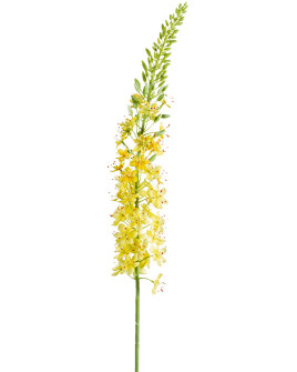 Искусственный цветок Eremurus Yellow / Эремурус H105cm