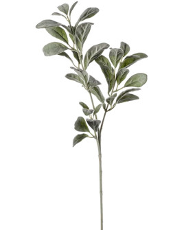 Искусственное растение Cineraria Branch / Цинерария ветка H70cm