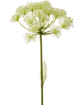 Штучна квітка Heracleum White / Борщівник H78cm