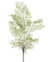 Artificial plant Fern Adianthum H55cm NKoop EEG