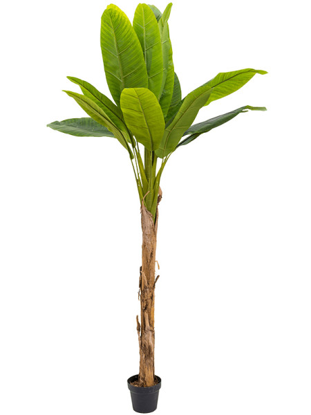 Искусственное растение Banana Tree / Банановое дерево H180cm NKoop EEG